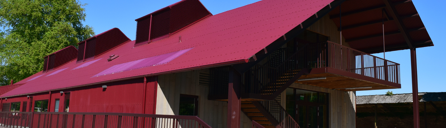 sake-brewery-newmarket